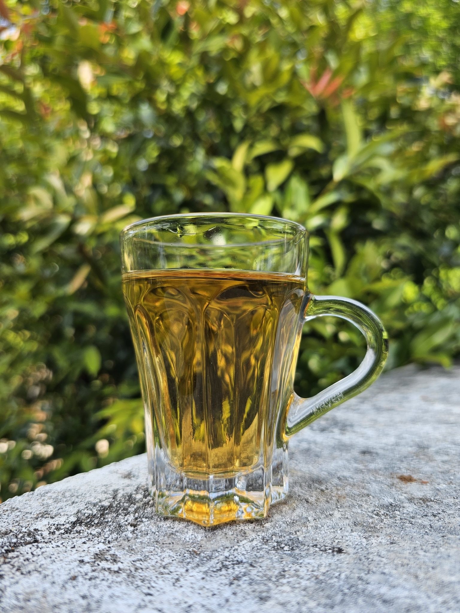 Green Tea 100 Bags